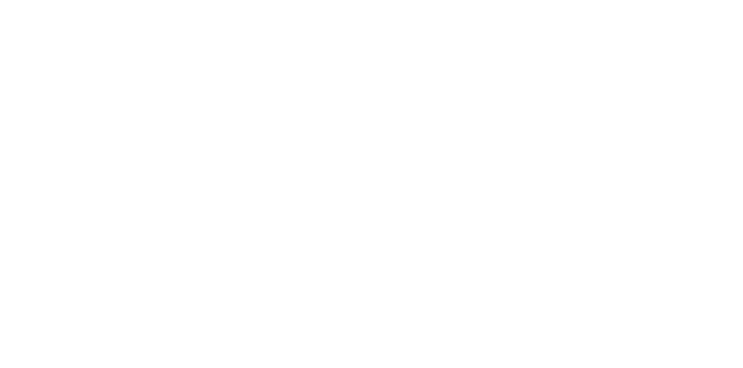 Alfly